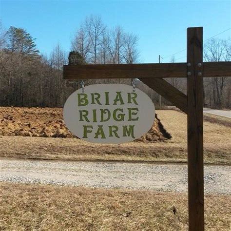 Briar Ridge Farm